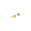 Sea Shell Earring Gold (pris pr stk)